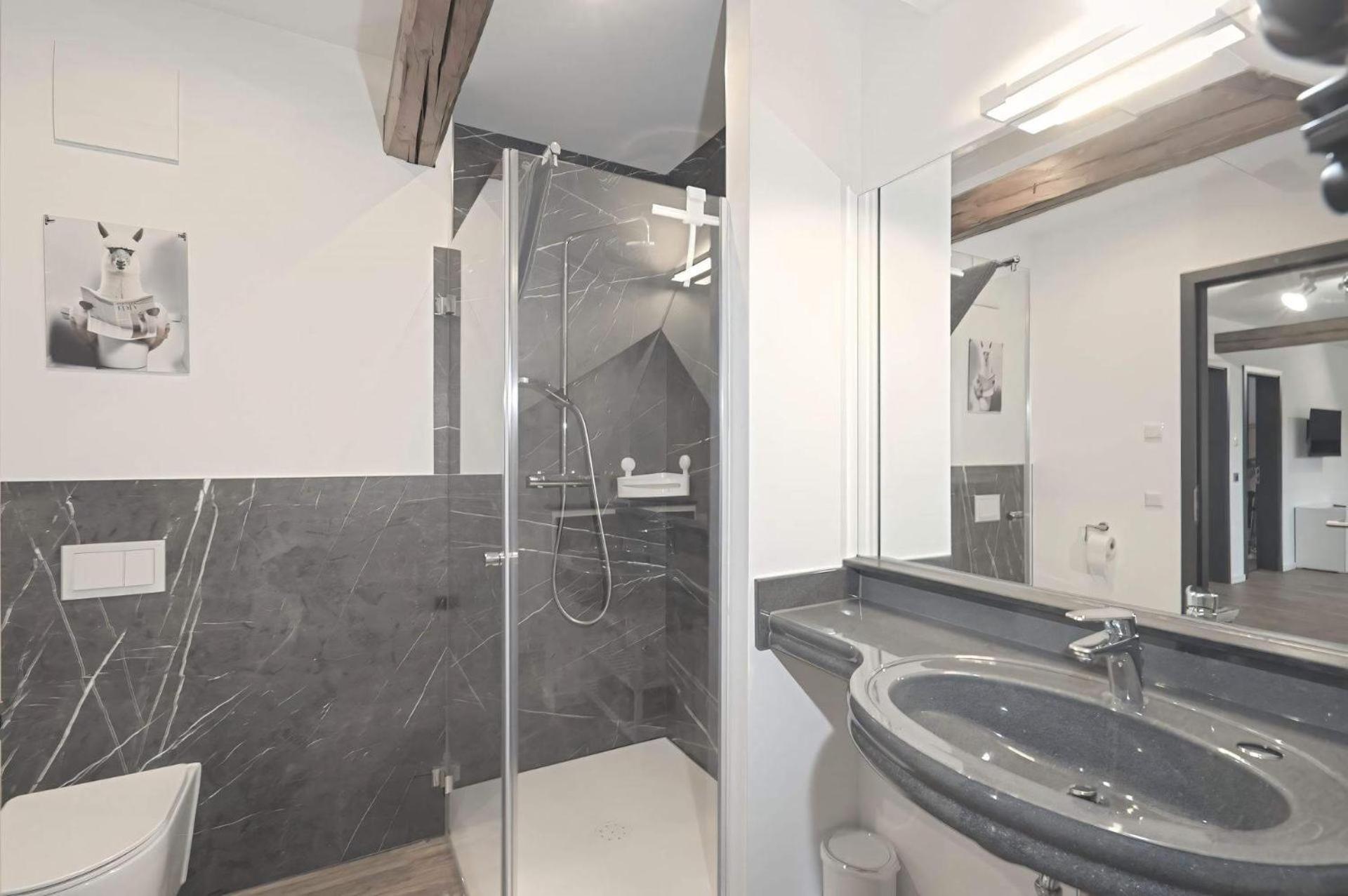 דירות Bad Gottleuba Ferienquartier Forsthaus 2 מראה חיצוני תמונה